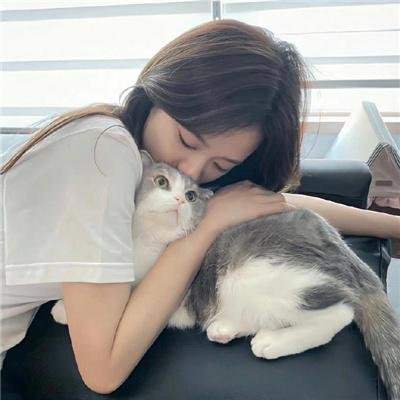 甜木兰第三季