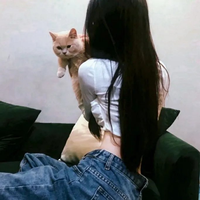笨金鱼